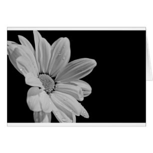 Friedliche Blumen