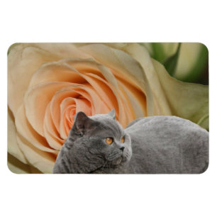 Friedliche Blumen Magnet