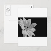 Friedliche Blumen Postkarte (Vorne/Hinten)