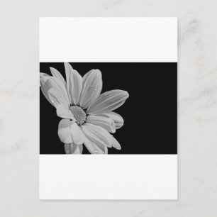 Friedliche Blumen Postkarte