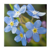 Friedliche Blumen vergessen mich nicht Fliese (Vorderseite)