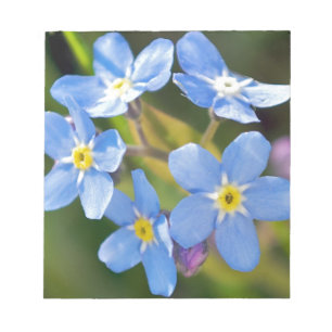 Friedliche Blumen vergessen mich nicht Notizblock