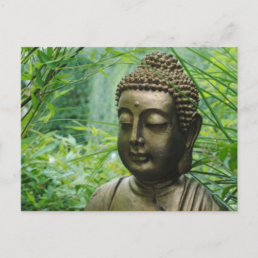 Friedliche Buddha-Statue in einem grünen grünen Wa Postkarte (Vorderseite)