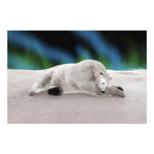 Friedliche Eisbär-Arktis-Natur-Illustration Fotodruck