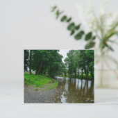 Friedliche Elwy-Küste in St. Asaph Postkarte (Stehend Vorderseite)