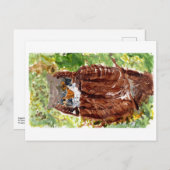 Friedliche Eule mit grüner Hintergrundekarte Postkarte (Vorne/Hinten)