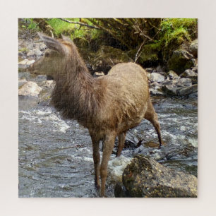 Friedliche Flussszene mit jungem Rothirsch Wildnis Puzzle