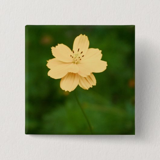 Friedliche Harmonie Button (Vorderseite)