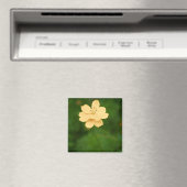 Friedliche Harmonie Magnet (In Situ (Geschirrspüler))