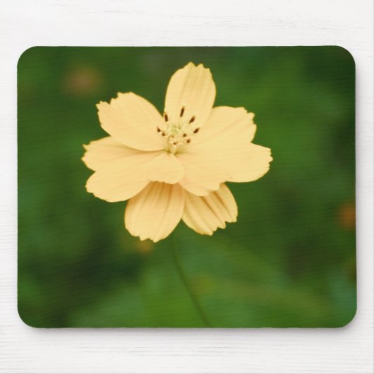 Friedliche Harmonie Mousepad (Vorne)