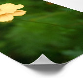 Friedliche Harmonie Poster (Ecke)