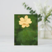 Friedliche Harmonie Postkarte (Stehend Vorderseite)