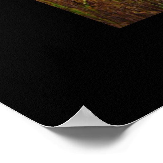 Friedliche Hilltop bei Sunset Poster (Ecke)