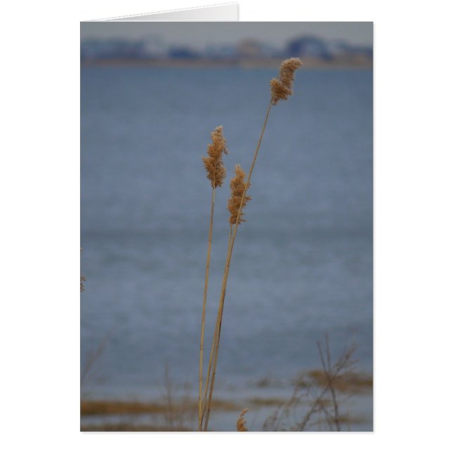 Friedliche Karte (Vorne)