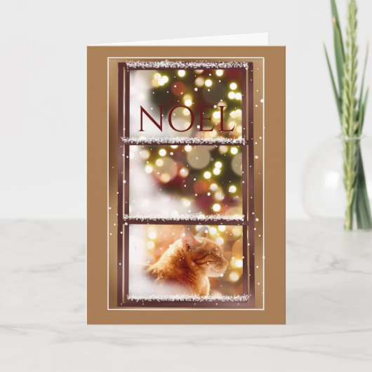 Friedliche Katze Inside a Snowwindow Christmas Car Karte (Vorderseite)