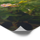 Friedliche Landschaft mit wilden Rose Poster (Ecke)