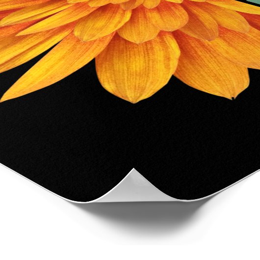 FRIEDLICHE LIEBE HOFFT GLEICHHEIT POSTER (Ecke)