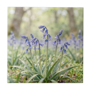 Friedliche lila Blauglöckchen-Waldblüte Fliese