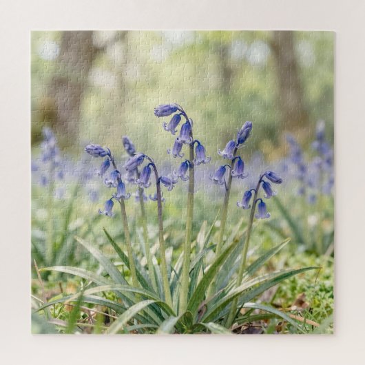 Friedliche lila Blauglockenwaldblüte Puzzle (Vertikal)