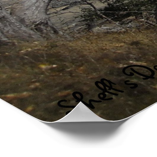 Friedliche Momente Poster (Ecke)