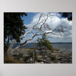 Friedliche Momente Poster