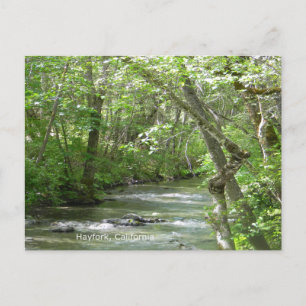 Friedliche Momente... Postkarte