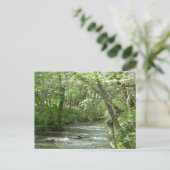 Friedliche Momente... Postkarte (Stehend Vorderseite)