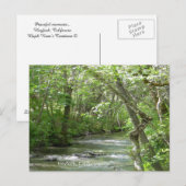 Friedliche Momente... Postkarte (Vorne/Hinten)