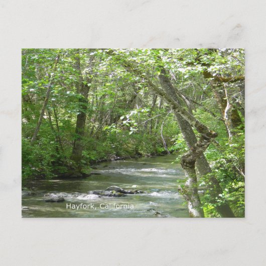 Friedliche Momente... Postkarte (Vorderseite)
