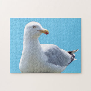 Friedliche Möwe Ruhende Küsten Vogel Szene Natur Puzzle