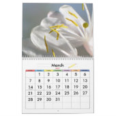 Friedliche Natur Kalender (Mär 2027)