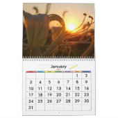 Friedliche Natur Kalender (Jan 2027)