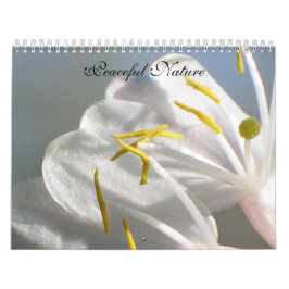 Friedliche Natur Kalender