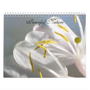 Friedliche Natur Kalender