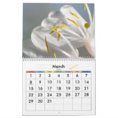 Friedliche Natur Kalender (Mär 2026)