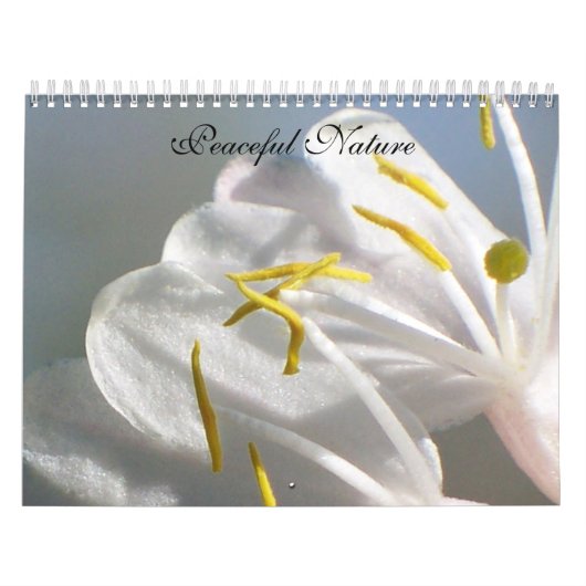 Friedliche Natur Kalender (Titelbild)
