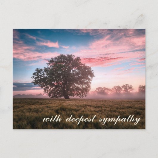 Friedliche Natur Szene Tree Sunset Sunrise Beileid Postkarte (Vorderseite)