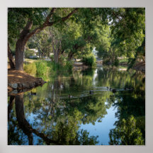 Friedliche Pond Reflections - Der Spiegel der Natu