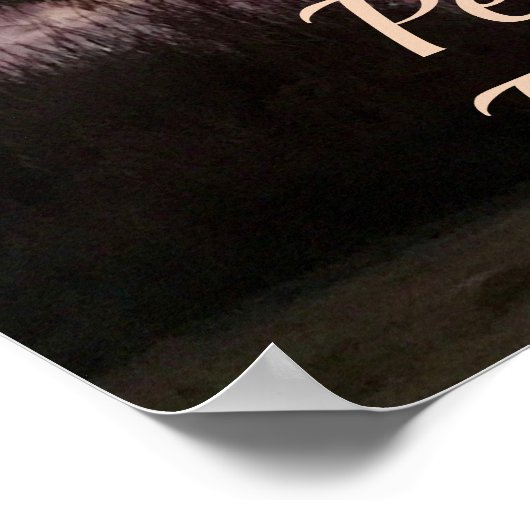 Friedliche Reflektionssonne über dem Teich Poster (Ecke)