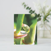 Friedliche Rot- und Grüne Blume mit Dew Postkarte (Stehend Vorderseite)
