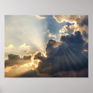 Friedliche Schafe beim Grasen bei Sonnenuntergang Poster