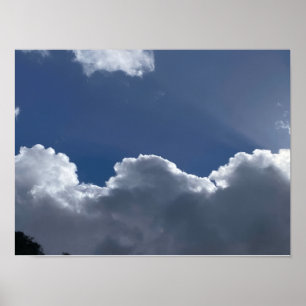 Friedliche Schafe beim Grasen bei Sonnenuntergang Poster