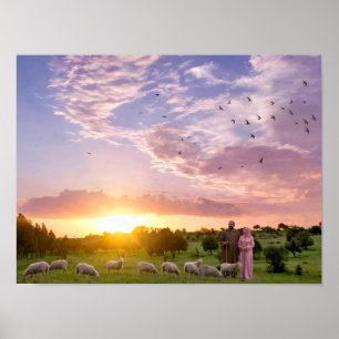 Friedliche Schafe beim Weiden bei Sonnenuntergang Poster