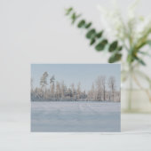 Friedliche schneebedeckte Waldlandschaft Postkarte (Stehend Vorderseite)