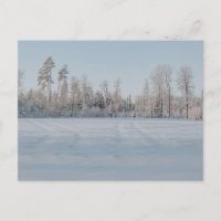 Friedliche schneebedeckte Waldlandschaft
