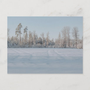 Friedliche schneebedeckte Waldlandschaft Postkarte
