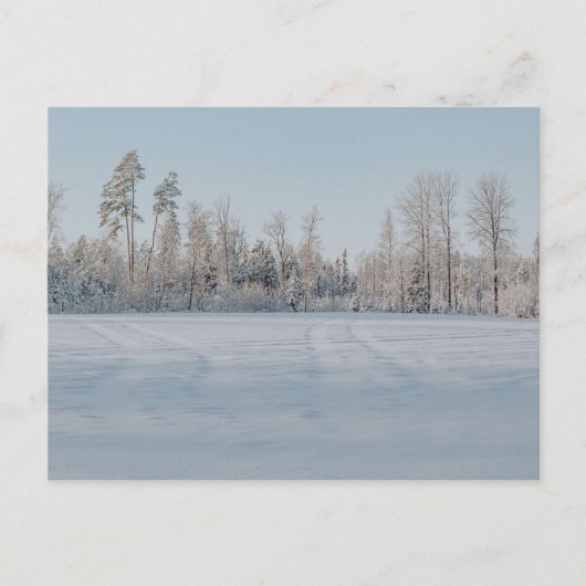 Friedliche schneebedeckte Waldlandschaft Postkarte (Vorderseite)