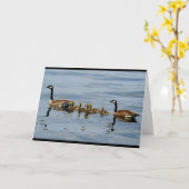 Friedliche See-Szene mit Familie der Gänse Karte (Gelbe Blume)