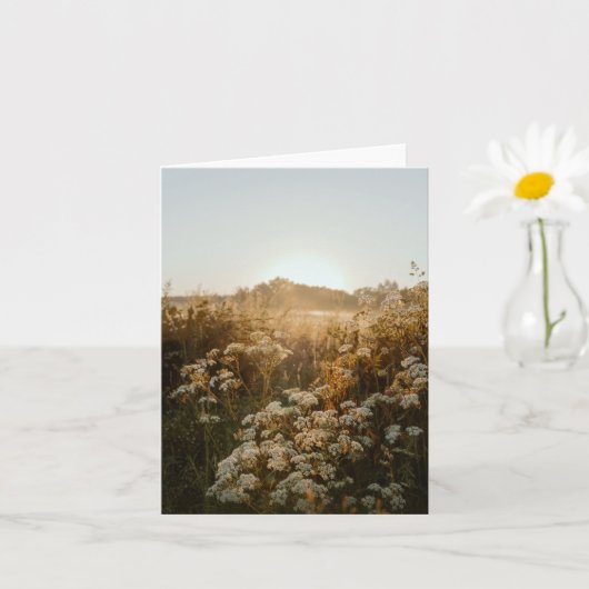 Friedliche Sonnenaufgangswiese Karte (Kleine Pflanze)