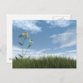 Friedliche Steine - 3D-Darstellung Postkarte (Vorne/Hinten)